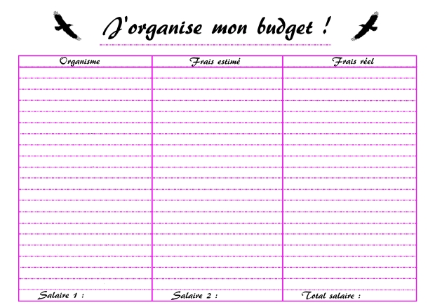 Organisation budget.jpg
